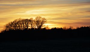 Preview wallpaper sunset, clouds, trees, silhouettes, evening