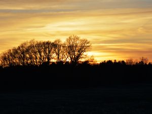 Preview wallpaper sunset, clouds, trees, silhouettes, evening