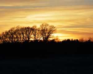 Preview wallpaper sunset, clouds, trees, silhouettes, evening