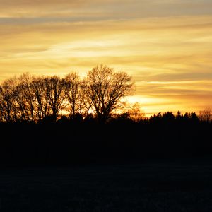 Preview wallpaper sunset, clouds, trees, silhouettes, evening