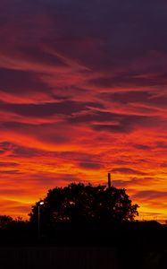 Preview wallpaper sunset, clouds, trees, fiery