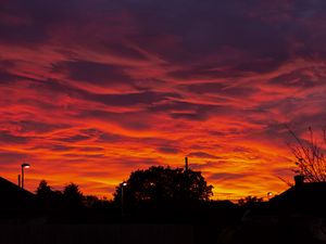 Preview wallpaper sunset, clouds, trees, fiery