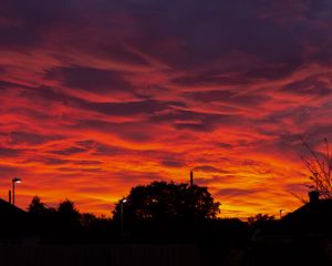 Preview wallpaper sunset, clouds, trees, fiery