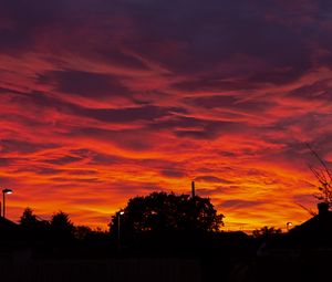 Preview wallpaper sunset, clouds, trees, fiery