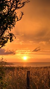 Preview wallpaper sunset, coast, grass, twilight, landscape