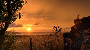 Preview wallpaper sunset, coast, grass, twilight, landscape