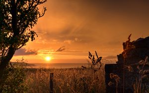 Preview wallpaper sunset, coast, grass, twilight, landscape
