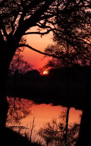 Preview wallpaper sunset, dusk, dark, outlines, trees, water, reflection