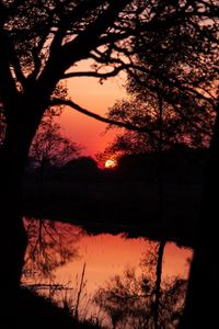 Preview wallpaper sunset, dusk, dark, outlines, trees, water, reflection