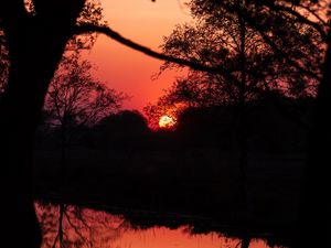 Preview wallpaper sunset, dusk, dark, outlines, trees, water, reflection