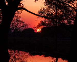 Preview wallpaper sunset, dusk, dark, outlines, trees, water, reflection