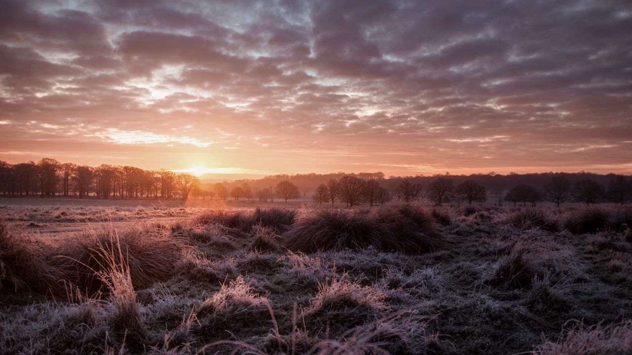 Wallpaper sunset, dusk, landscape, grass, trees