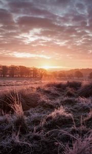 Preview wallpaper sunset, dusk, landscape, grass, trees