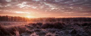 Preview wallpaper sunset, dusk, landscape, grass, trees