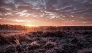 Preview wallpaper sunset, dusk, landscape, grass, trees