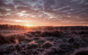 Preview wallpaper sunset, dusk, landscape, grass, trees