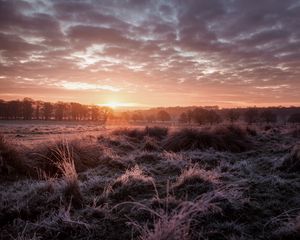 Preview wallpaper sunset, dusk, landscape, grass, trees