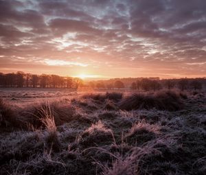 Preview wallpaper sunset, dusk, landscape, grass, trees