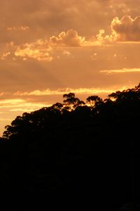 Preview wallpaper sunset, dusk, trees, clouds