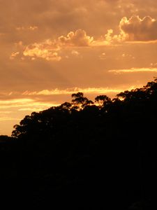 Preview wallpaper sunset, dusk, trees, clouds