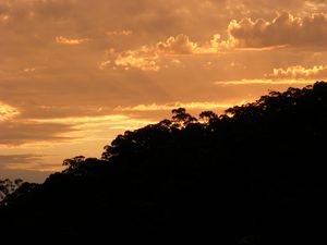 Preview wallpaper sunset, dusk, trees, clouds