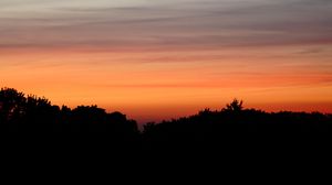 Preview wallpaper sunset, dusk, trees, silhouette, night