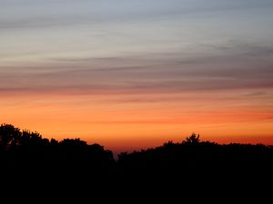 Preview wallpaper sunset, dusk, trees, silhouette, night