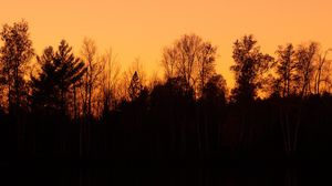 Preview wallpaper sunset, dusk, trees, water, reflection