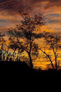 Preview wallpaper sunset, dusk, trees, silhouettes, dark