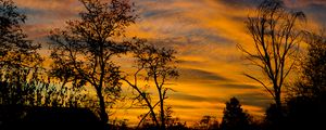Preview wallpaper sunset, dusk, trees, silhouettes, dark