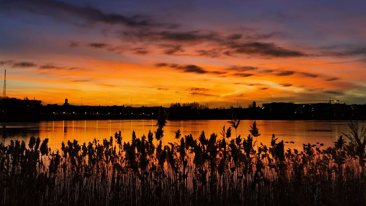 Wallpaper sunset, ears, lake, dusk