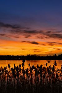 Preview wallpaper sunset, ears, lake, dusk