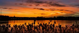 Preview wallpaper sunset, ears, lake, dusk