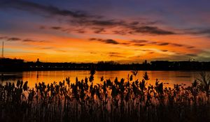 Preview wallpaper sunset, ears, lake, dusk