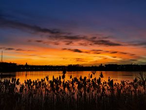 Preview wallpaper sunset, ears, lake, dusk