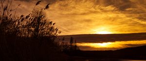 Preview wallpaper sunset, ears of corn, silhouette, sky