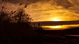 Preview wallpaper sunset, ears of corn, silhouette, sky