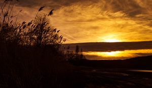 Preview wallpaper sunset, ears of corn, silhouette, sky