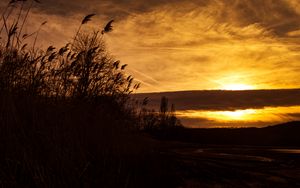 Preview wallpaper sunset, ears of corn, silhouette, sky