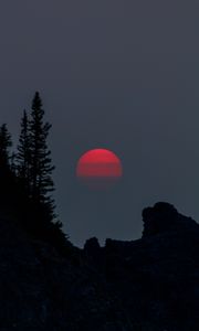 Preview wallpaper sunset, evening, trees, silhouette