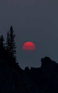 Preview wallpaper sunset, evening, trees, silhouette