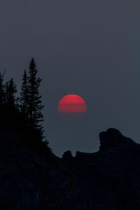 Preview wallpaper sunset, evening, trees, silhouette