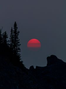 Preview wallpaper sunset, evening, trees, silhouette