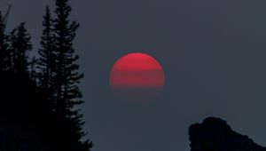 Preview wallpaper sunset, evening, trees, silhouette