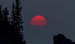 Preview wallpaper sunset, evening, trees, silhouette