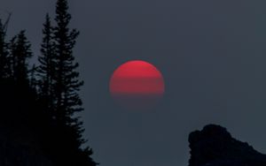 Preview wallpaper sunset, evening, trees, silhouette