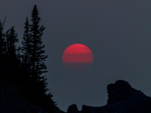 Preview wallpaper sunset, evening, trees, silhouette