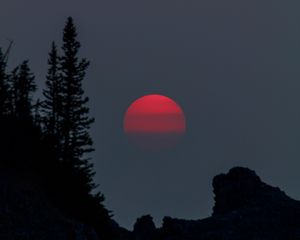 Preview wallpaper sunset, evening, trees, silhouette
