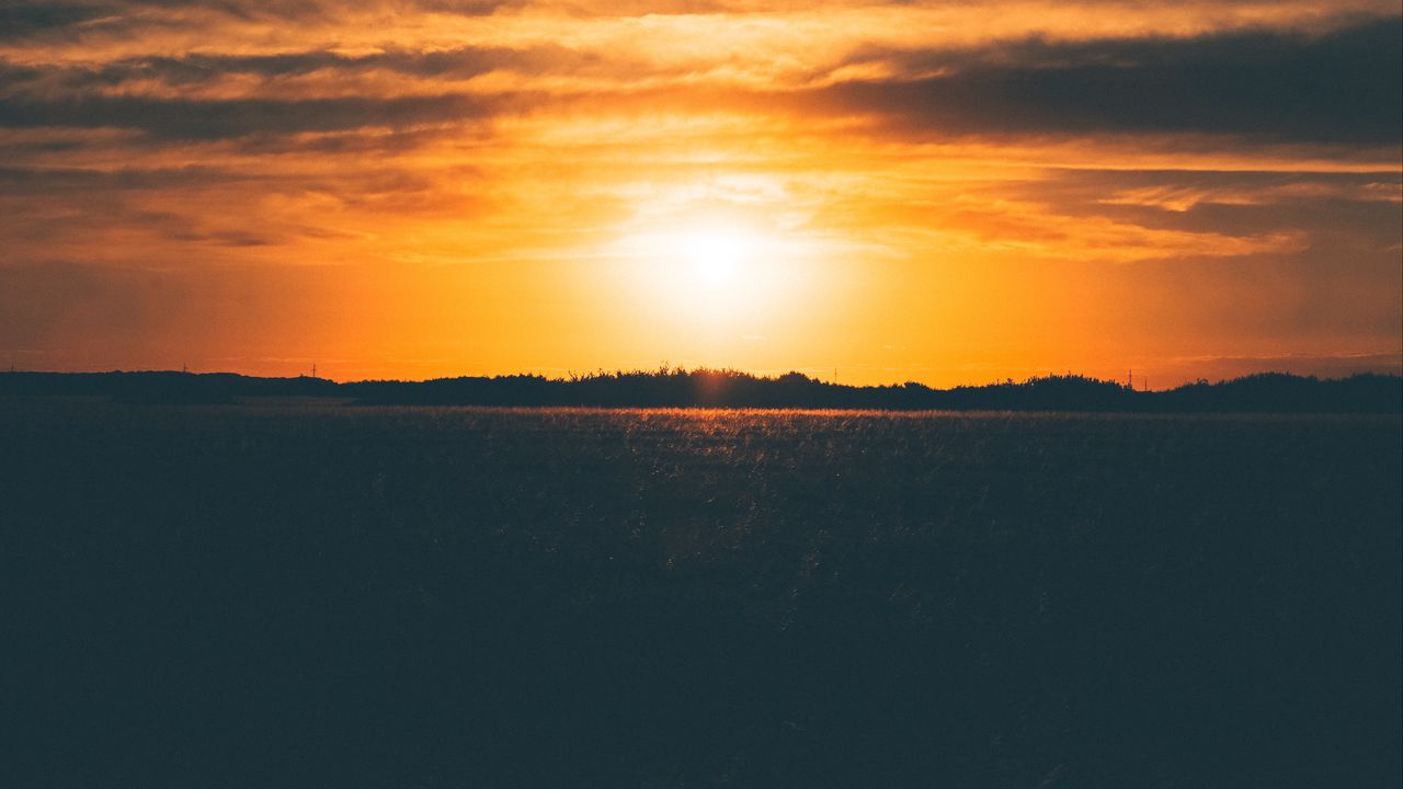 Wallpaper sunset, field, grass, sky