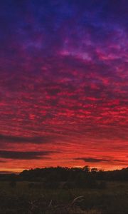 Preview wallpaper sunset, field, sky, beautiful landscape